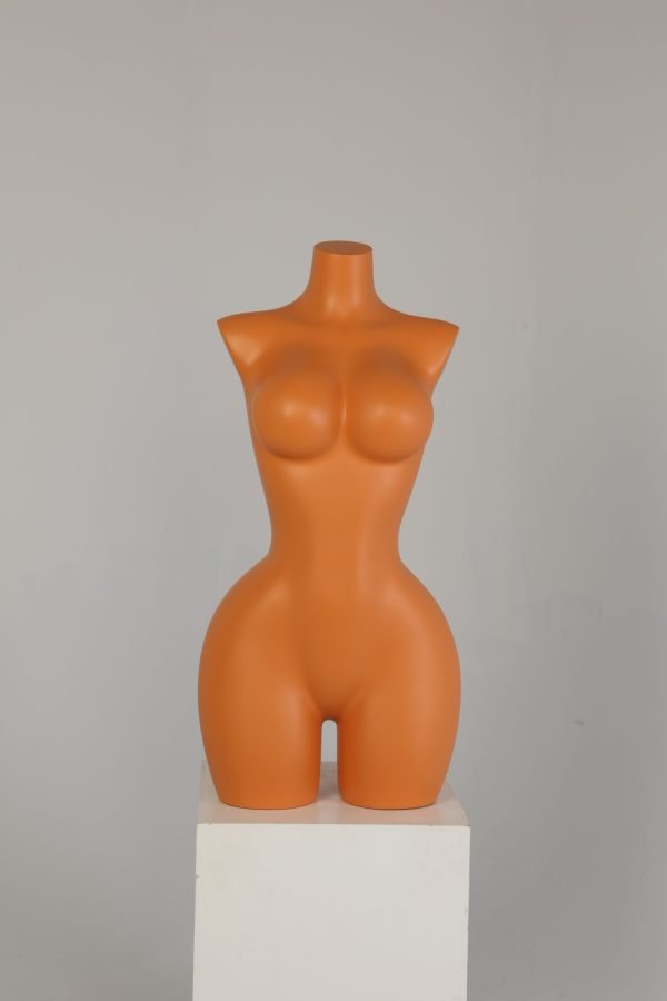 6H5A7758 Headless Female Half Body Mannequin