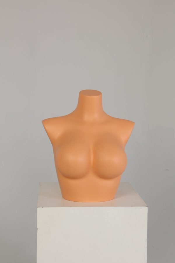 Female Upper Body Torso Mannequin – Half Body Bust Display Form for Underwear & Bras