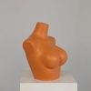 Female Upper Body Torso Mannequin – Half Body Bust Display Form for Underwear & Bras