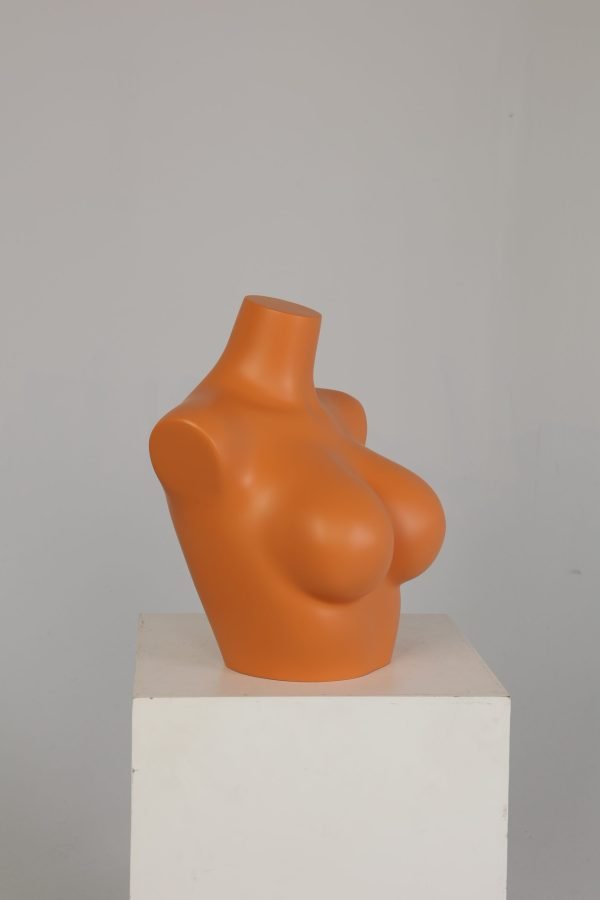 Female Upper Body Torso Mannequin – Half Body Bust Display Form for Underwear & Bras