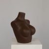 Female Upper Body Torso Mannequin – Half Body Bust Display Form for Underwear & Bras