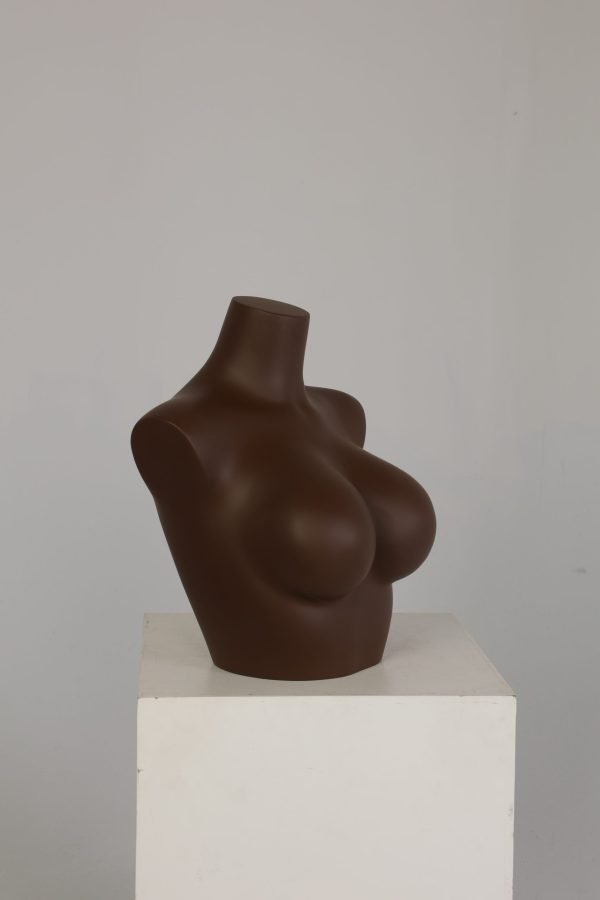 Female Upper Body Torso Mannequin – Half Body Bust Display Form for Underwear & Bras