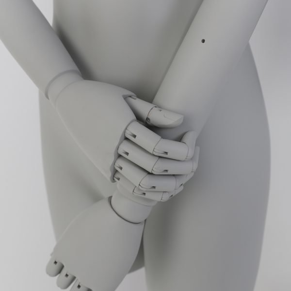 Fashion Upper Body Female Mannequin