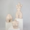 Female Upper Body Torso Mannequin – Half Body Bust Display Form for Underwear & Bras